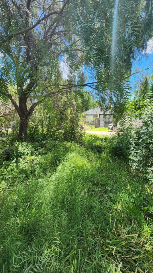 LOTE A LA VENTA EN LAS ACACIAS IDEAL PARA CASAQUINTA 