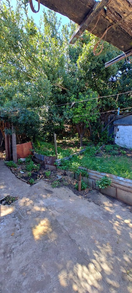 CASA EN VENTA CALLE EL TIMBO, casi Francia y Blas Parera