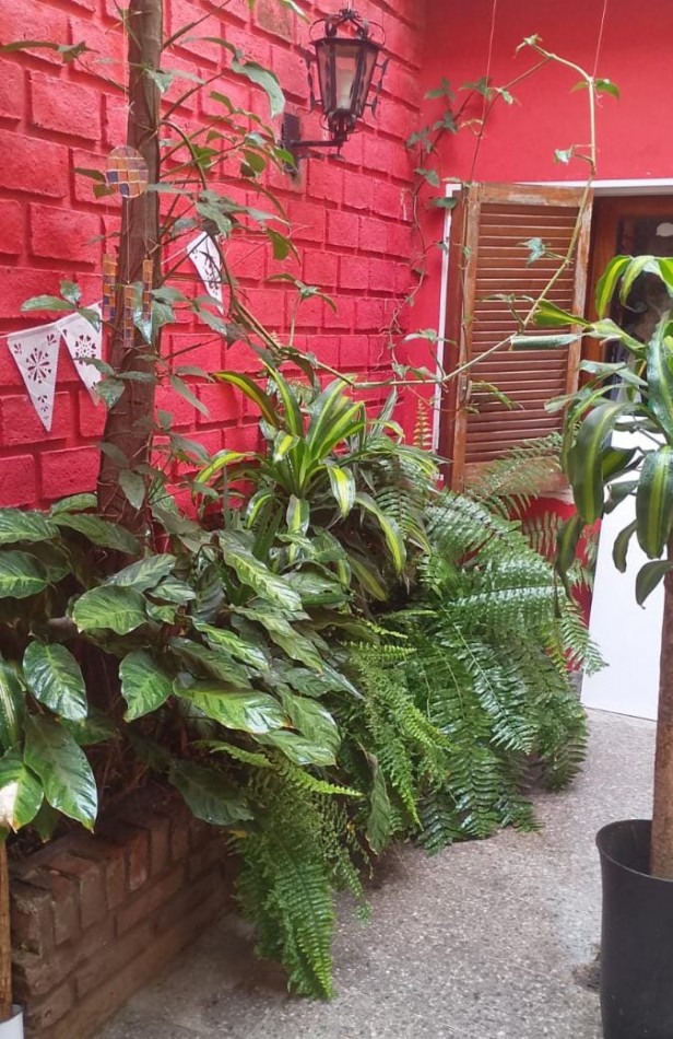 CASA A LA VENTA, AVENIDA  ALMA FUERTE CASI SOLER