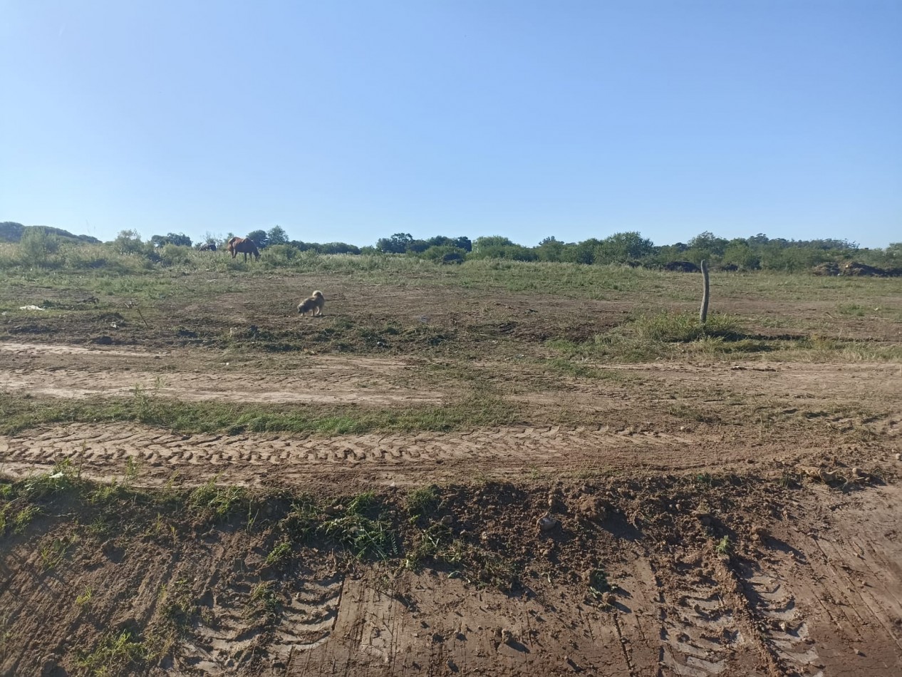 LOTE A LA VENTA EN CALLE JUAN B JUSTO Y GOBERNADOR PARERA IDEAL PARA LOTEO