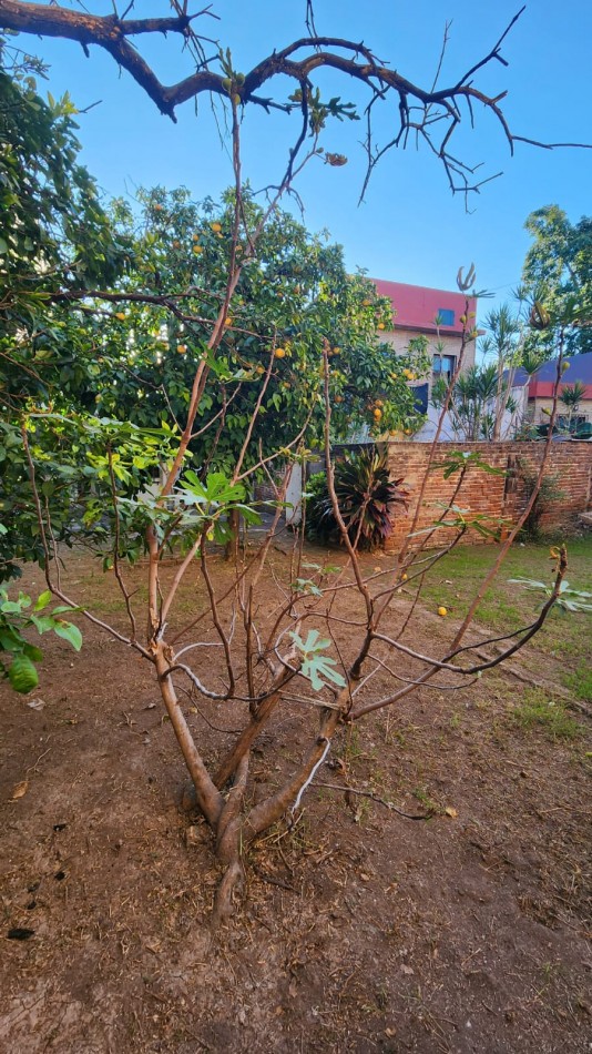 CASA EN VENTA EN CALLE ILLIA (a reciclar)