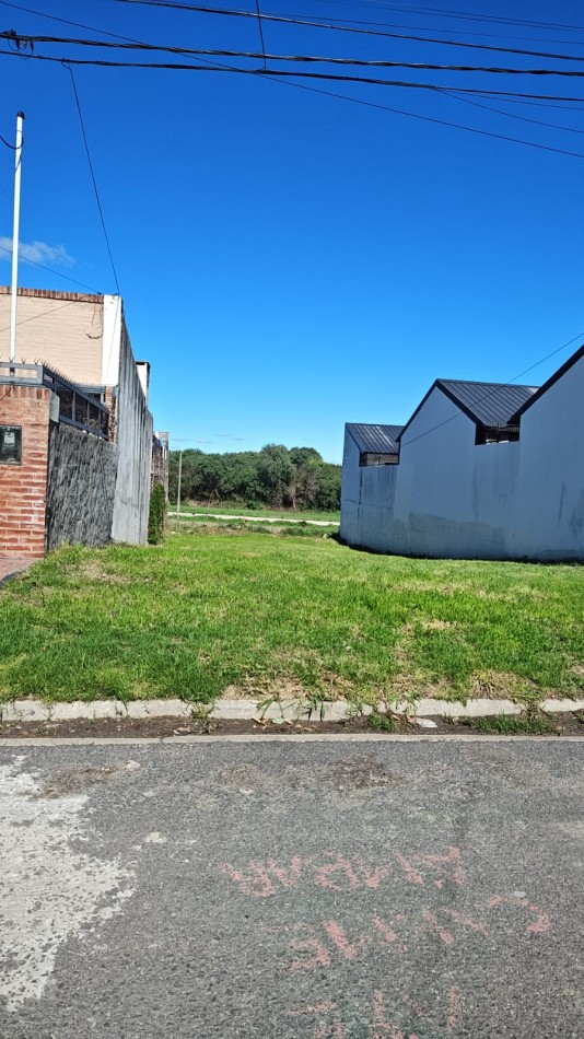 LOTE EN CALLE 1538, A UNA CUADRA DE JUAN BAEZ Y MOISES LEBENSOHN