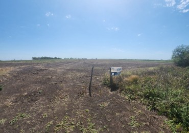 CAMPO A LA VENTA EN RUTA 18 KM 34