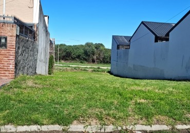 LOTE EN CALLE 1538, A UNA CUADRA DE JUAN BAEZ Y MOISES LEBENSOHN